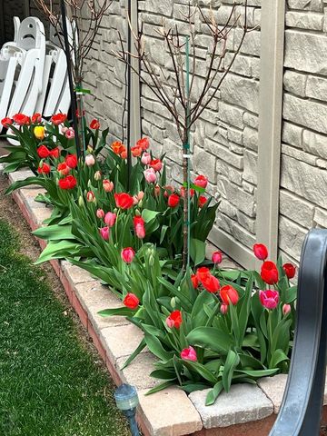 59 Posada Dr, Pueblo, CO 81005