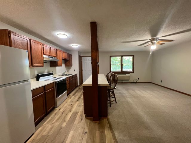 238 Coon Creek Road, Hollister, MO 65672