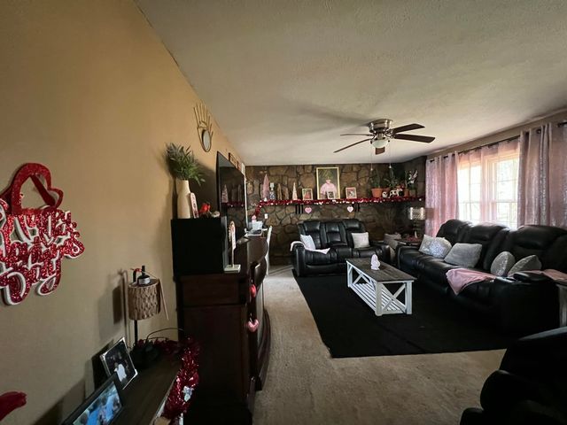 238 Coon Creek Road, Hollister, MO 65672