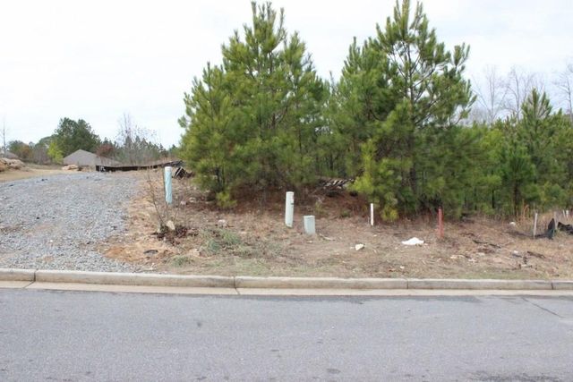 2 Lots Park Lane, Woodstock, GA 30188
