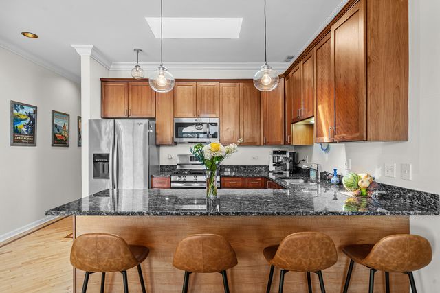 1109 W Belmont Avenue 4, Chicago, IL 60657