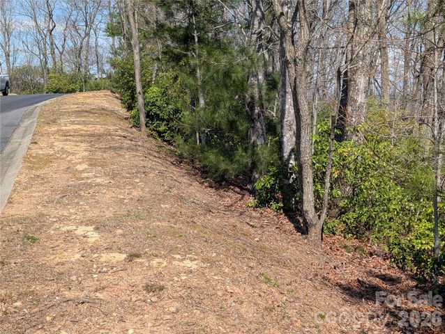 1094 Mills River Way, Horse Shoe, NC 28742
