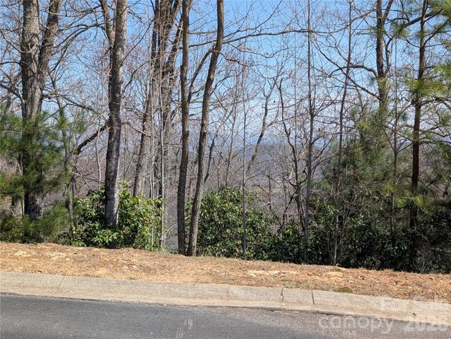 1094 Mills River Way, Horse Shoe, NC 28742