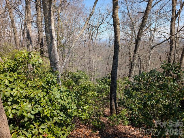 1094 Mills River Way, Horse Shoe, NC 28742