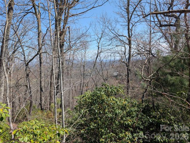 1094 Mills River Way, Horse Shoe, NC 28742