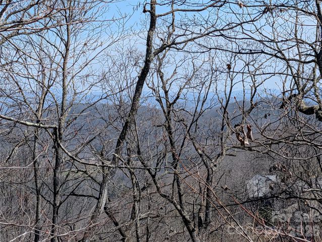 1094 Mills River Way, Horse Shoe, NC 28742