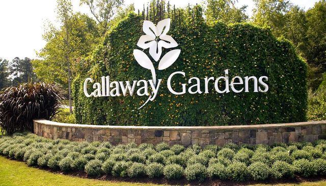 1401 Falls Creek Lane, Pine Mountain, GA 31822