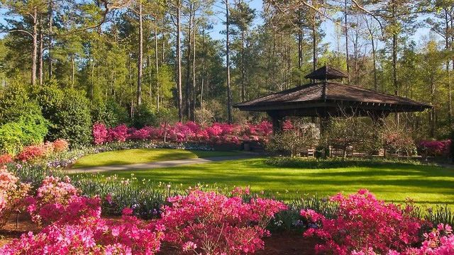 1401 Falls Creek Lane, Pine Mountain, GA 31822