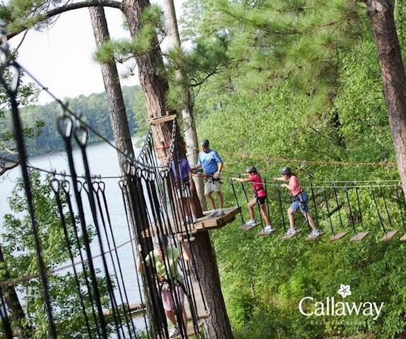 1401 Falls Creek Lane, Pine Mountain, GA 31822