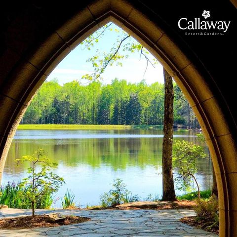 1401 Falls Creek Lane, Pine Mountain, GA 31822