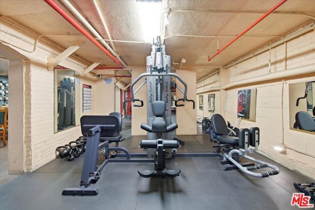 4125 S Figueroa Street 119, Los Angeles, CA 90037