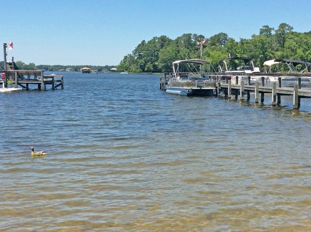 1088 Shore Drive, Manning, SC 29102