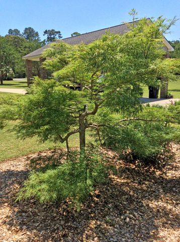 1088 Shore Drive, Manning, SC 29102