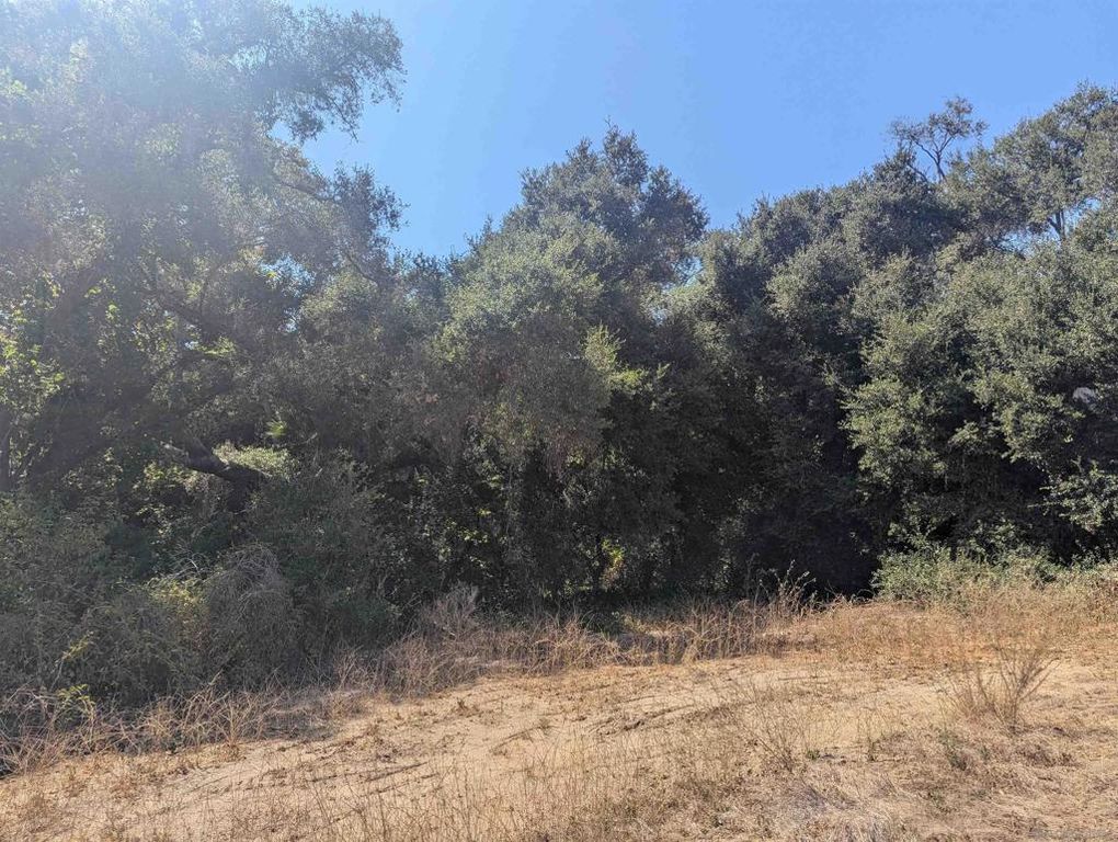 2935 S Mission Rd, Fallbrook, CA 92028 — photo 4