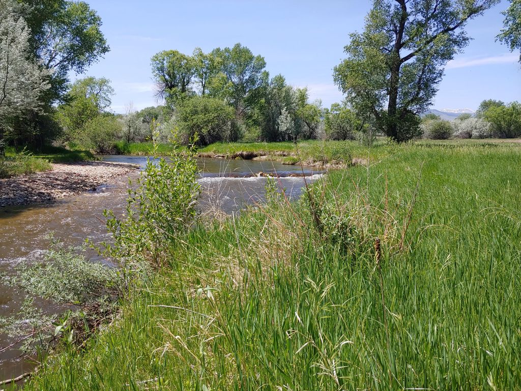 152 E US HWY 16 Street, Buffalo, WY 82834 photo 8