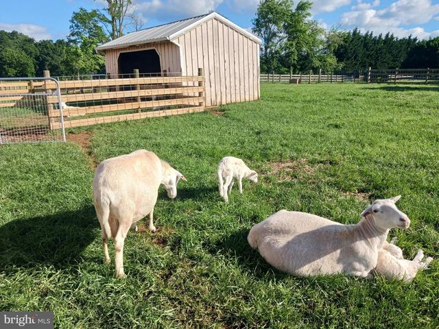867 KIBLER RD, Quicksburg, VA 22847