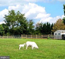 867 KIBLER RD, Quicksburg, VA 22847