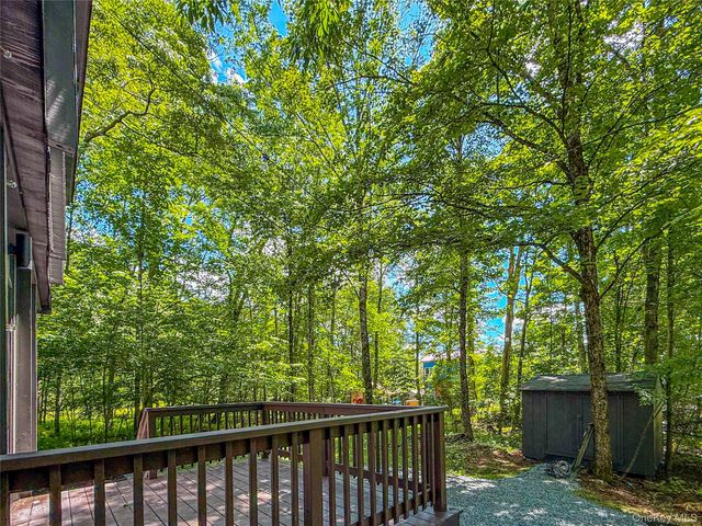 9 Lake Drive, Parksville, NY 12768
