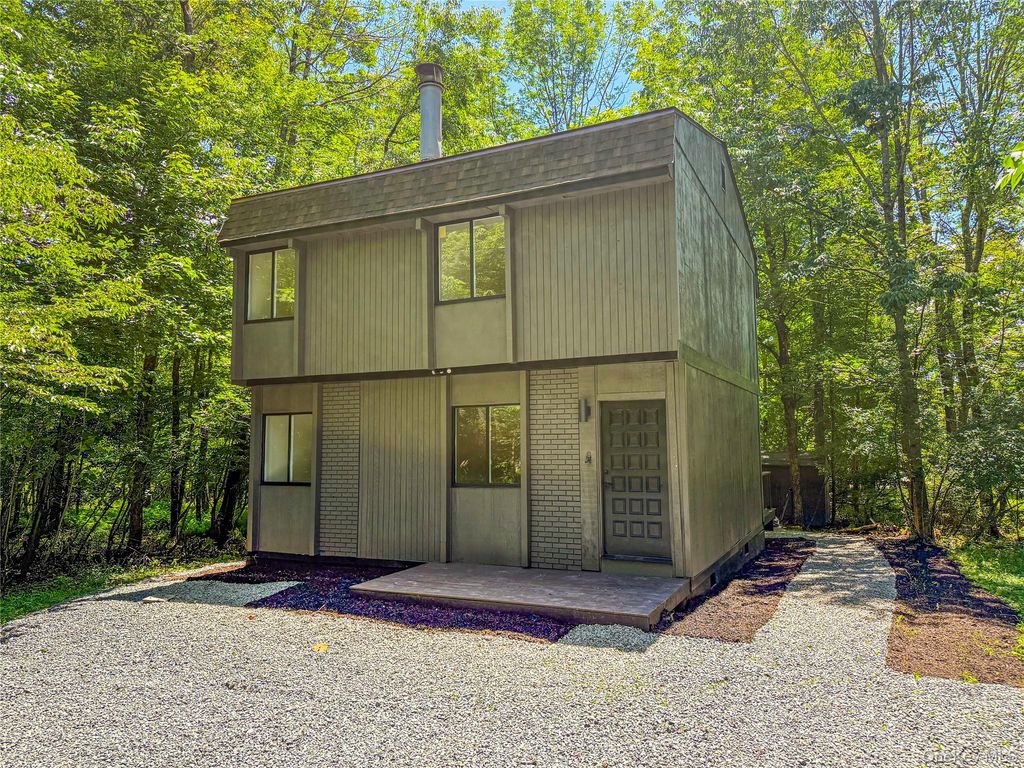 9 Lake Drive, Parksville, NY 12768