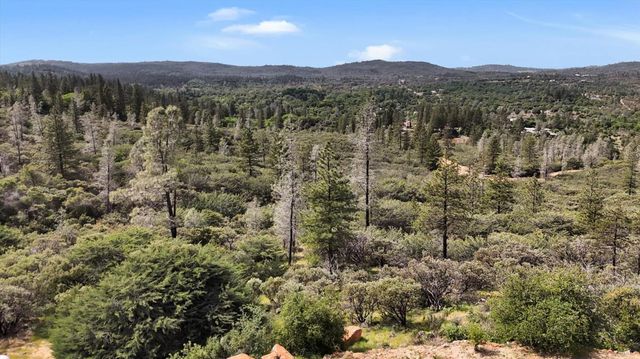 13886 Meadow Valley Rd, Dobbins, CA 95935