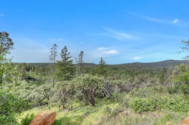 13886 Meadow Valley Rd, Dobbins, CA 95935