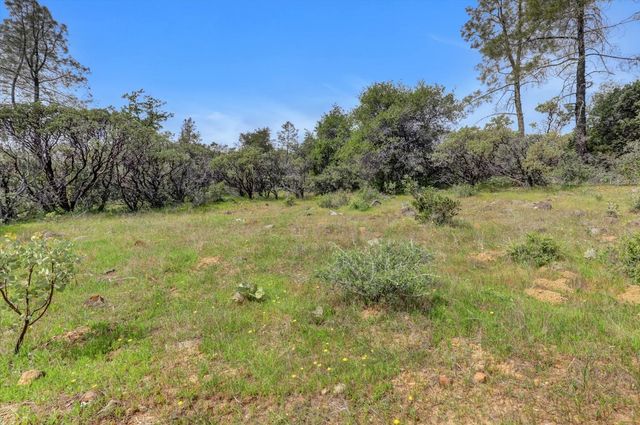 13886 Meadow Valley Rd, Dobbins, CA 95935