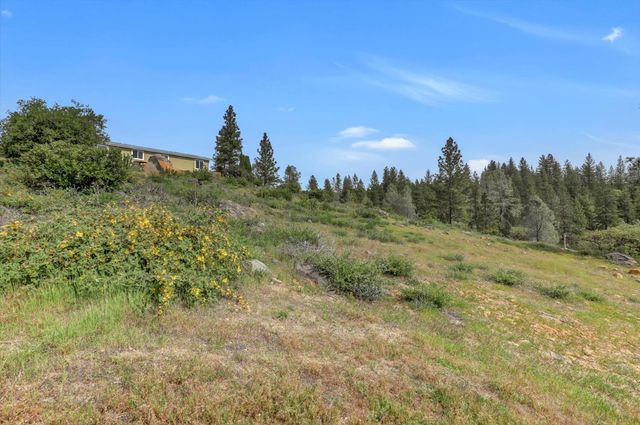 13886 Meadow Valley Rd, Dobbins, CA 95935