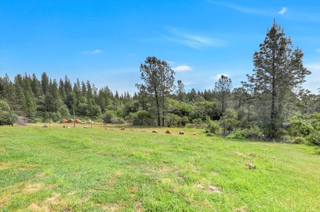 13886 Meadow Valley Rd, Dobbins, CA 95935