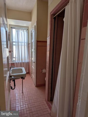 229 E MOUNT PLEASANT AVE, Philadelphia, PA 19119