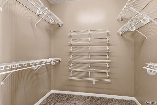 11400 Saint James, Northport, AL 35475