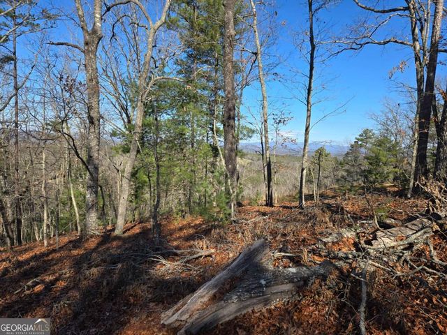 416 Undisclosed Drive, Morganton, GA 30560