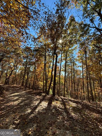 416 Undisclosed Drive, Morganton, GA 30560