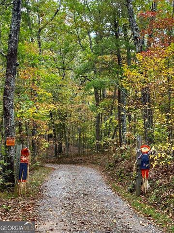 416 Undisclosed Drive, Morganton, GA 30560