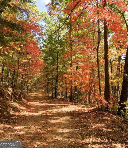 416 Undisclosed Drive, Morganton, GA 30560