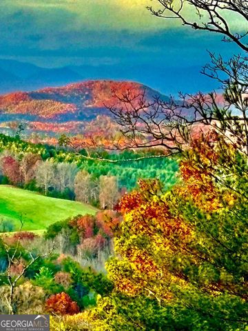 416 Undisclosed Drive, Morganton, GA 30560