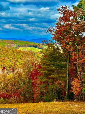 416 Undisclosed Drive, Morganton, GA 30560