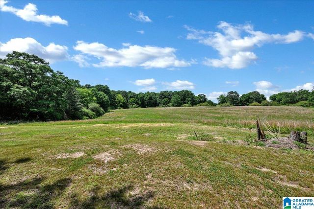 461 COUNTY ROAD 730, Cullman, AL 35055