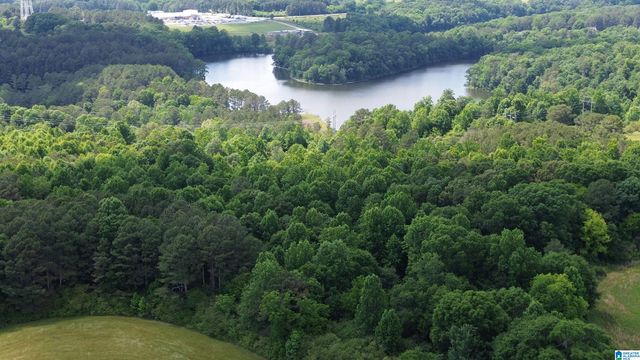 461 COUNTY ROAD 730, Cullman, AL 35055