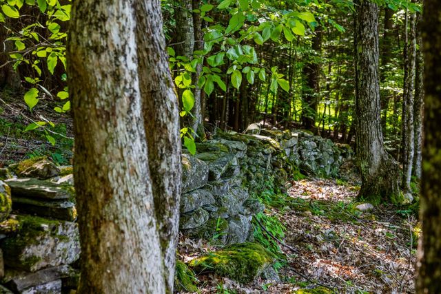 355 Kerwin Hill Road, Norwich, VT 05055