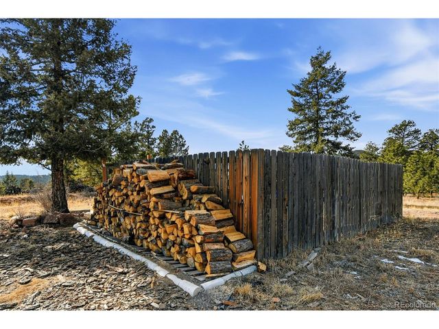 13287 S Otoe St, Pine, CO 80470