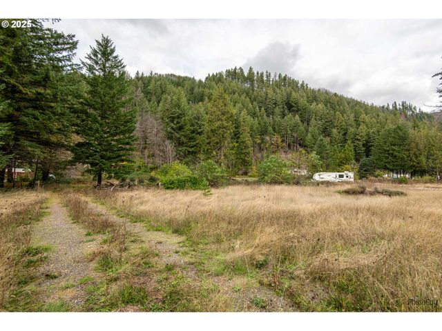 49687 MCKENZIE Hwy, Vida, OR 97488
