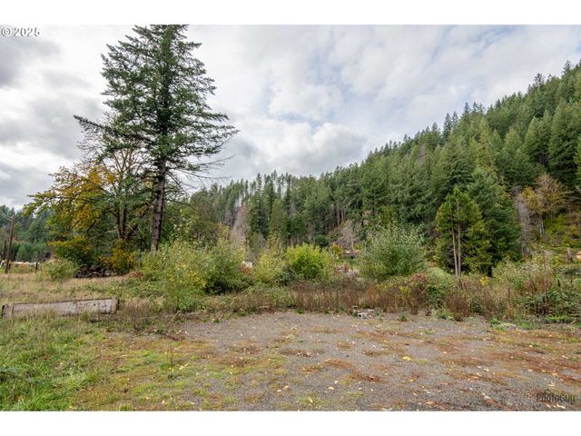 49687 MCKENZIE Hwy, Vida, OR 97488