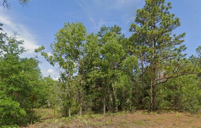 6502 N MATHESON DRIVE, Citrus Springs, FL 34434