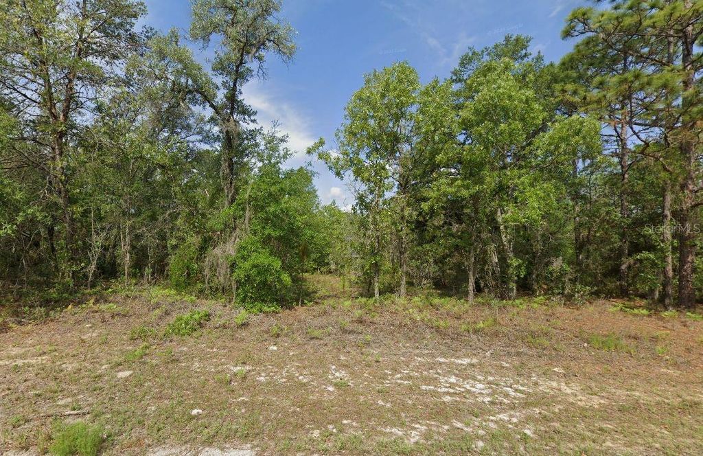 6502 N MATHESON DRIVE, Citrus Springs, FL 34434