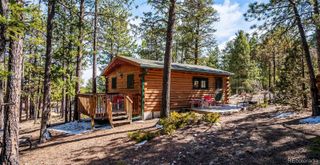 33885 La Plata Lane, Pine, CO 80470