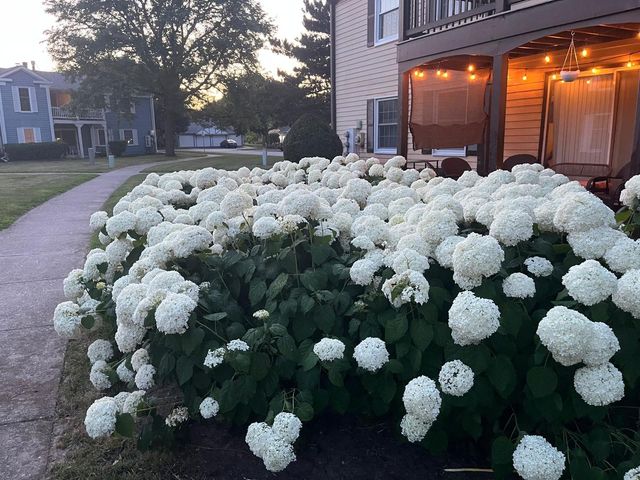 54 Plymouth Court 102D, Naperville, IL 60565