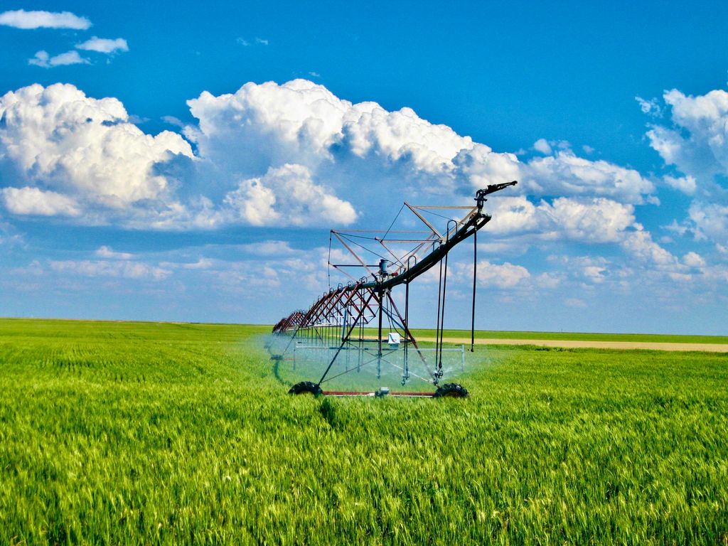 Buena Vista Road, Other - See Remarks, MT 59486