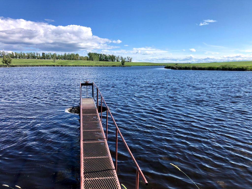 Buena Vista Road, Other - See Remarks, MT 59486 photo 12