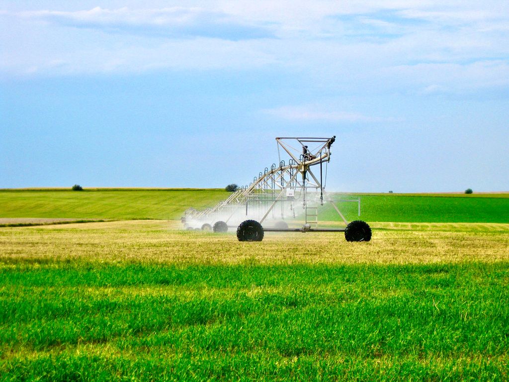 Buena Vista Road, Other - See Remarks, MT 59486 photo 15