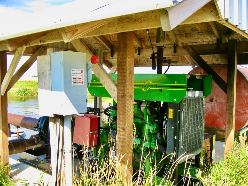 Buena Vista Road, Other - See Remarks, MT 59486 photo 16